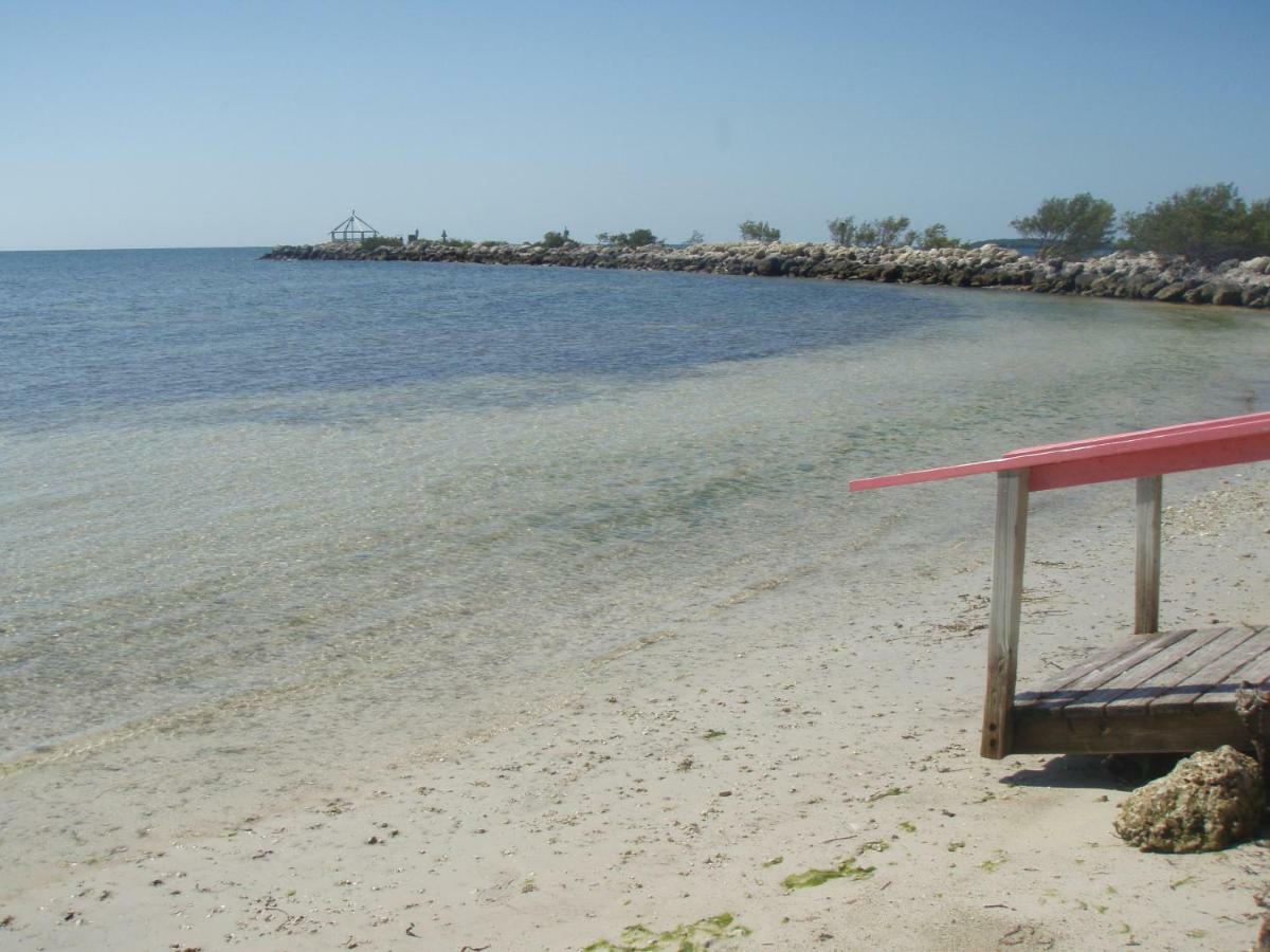 Licensed Mgr - Modern Oceanfront Condo! Beautiful Ocean Views! Beach Resort! 2 King Beds! Key Largo Exterior photo